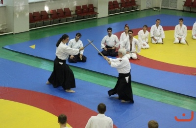 Aikido_Seminar_June_2010_3