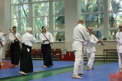 Aikido_Seminar_June_2010_4