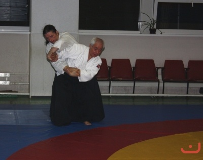Aikido_Seminar_June_2010_5