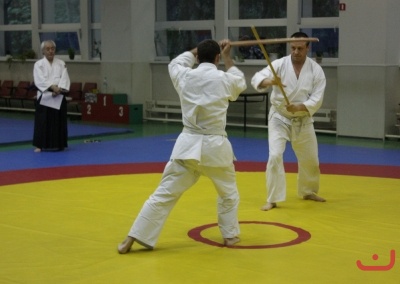 Aikido_Seminar_June_2010_8