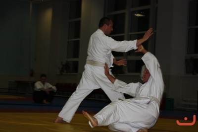 Aikido_Seminar_June_2010_14